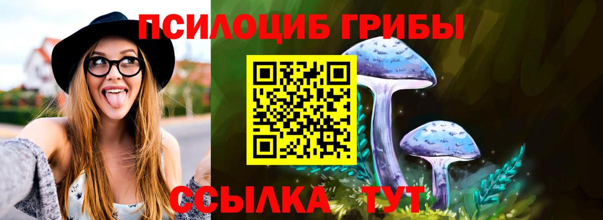 Ефремов  Галлюциногенные грибы MAGIC MUSHROOMS  Вход с VPN 