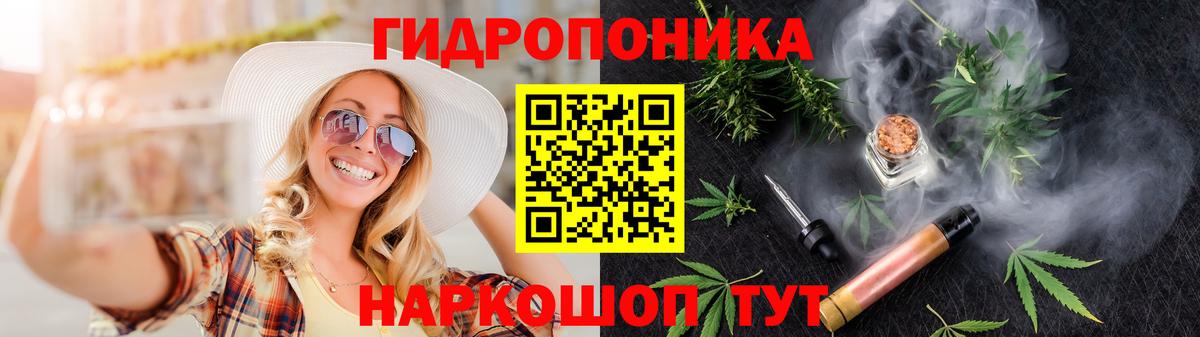 Бошки Шишки ГИДРОПОН  МАРИХУАНА семена  Вход с VPN  Ефремов 